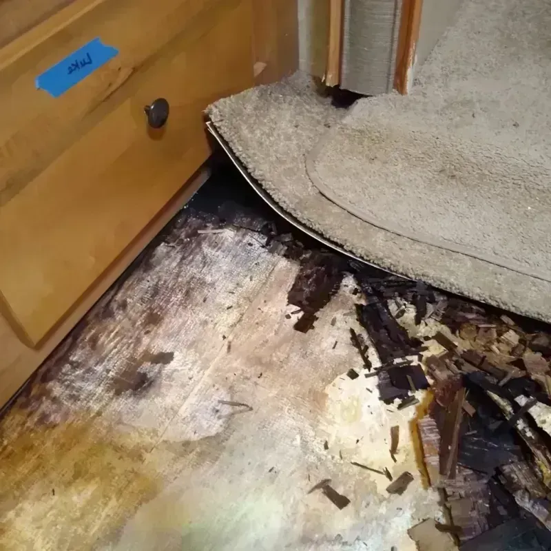 Wood Floor Water Damage in Bonduel, WI